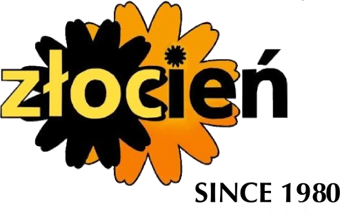 Złocień